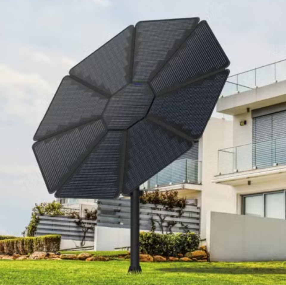 pv sunflower r pv sunflower r